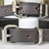 Leather Dog Collar 3/4" Various Styles Close Up Front View