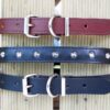 Leather Dog Collar 1" Various Styles Front View