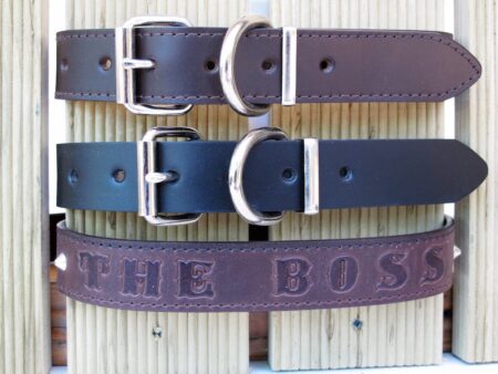 Leather Dog Collar 1 1/4" Various Styles Front View