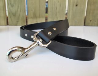 View Dog Accessories
