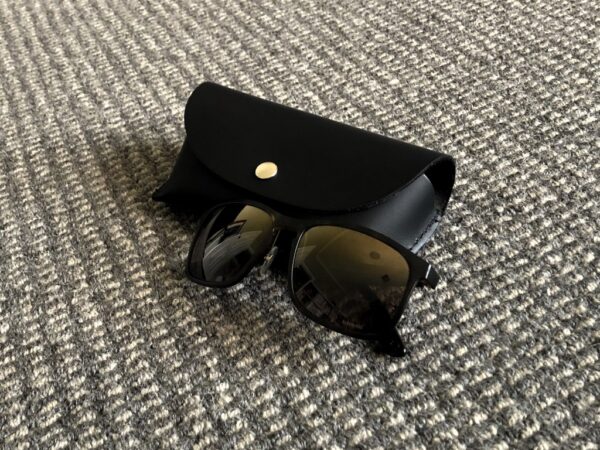 Glasses Case Standard with Sunglasses